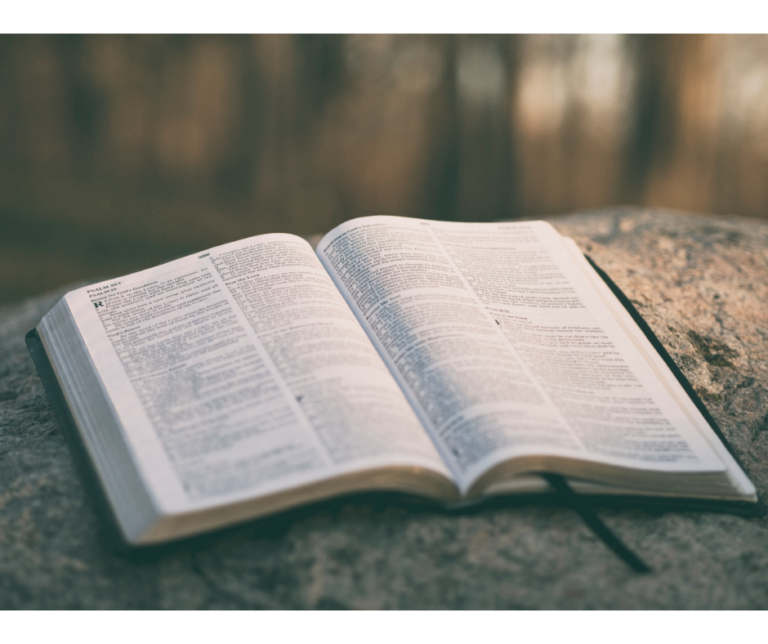 bibbia